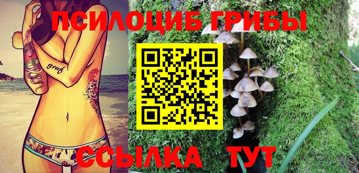 Псилоцибиновые грибы прущие грибы  Псилоцибиновые грибы Cubensis  Жигулёвск  Вход с VPN 